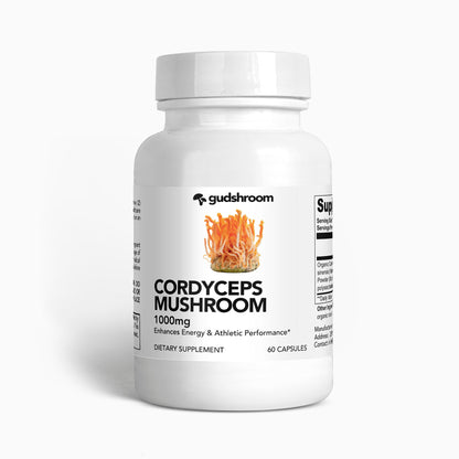 CORDYCEPS MUSHROOM