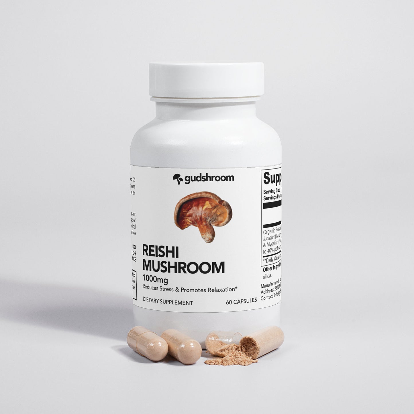 REISHI MUSHROOM