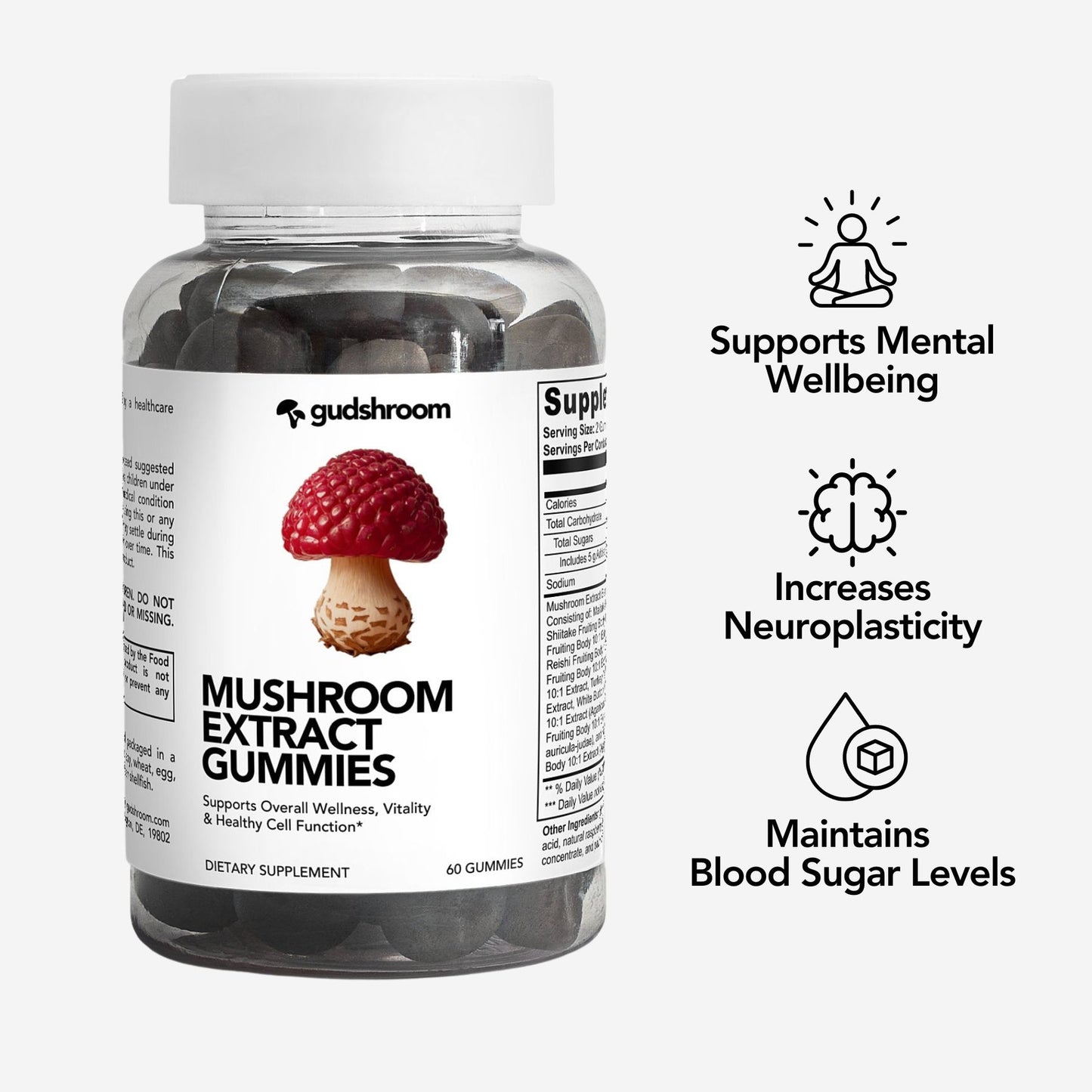 MUSHROOM EXTRACT GUMMIES